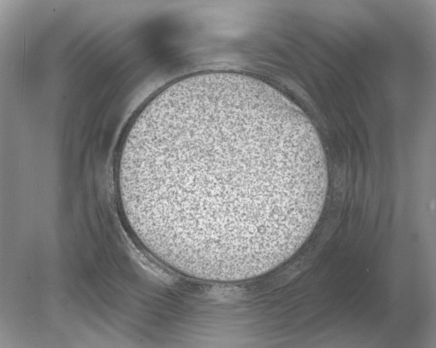 X0000078881466200612111727