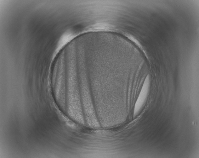 X0000078881469200612111727