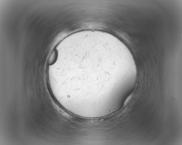 X0000078881471200612111727