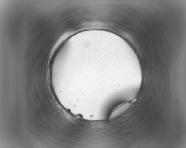 X0000078881472200612111727