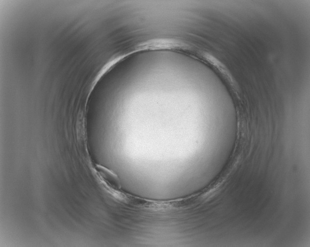 X0000078881473200612111727