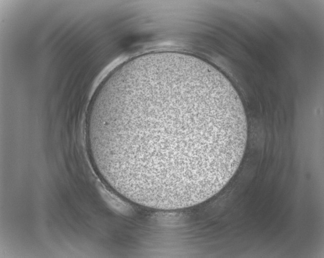 X0000078881474200612111727