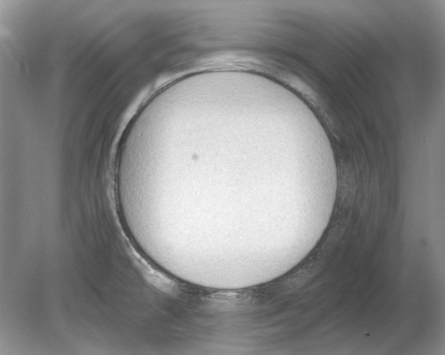 X0000078881478200612111726