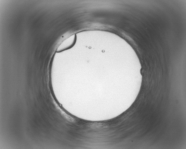 X0000078881479200612111726