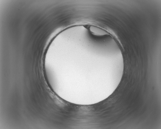 X0000078881480200612111726