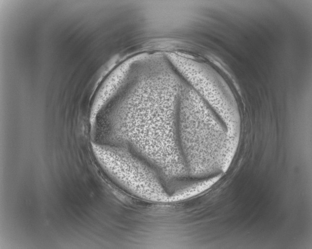 X0000078881481200612111726