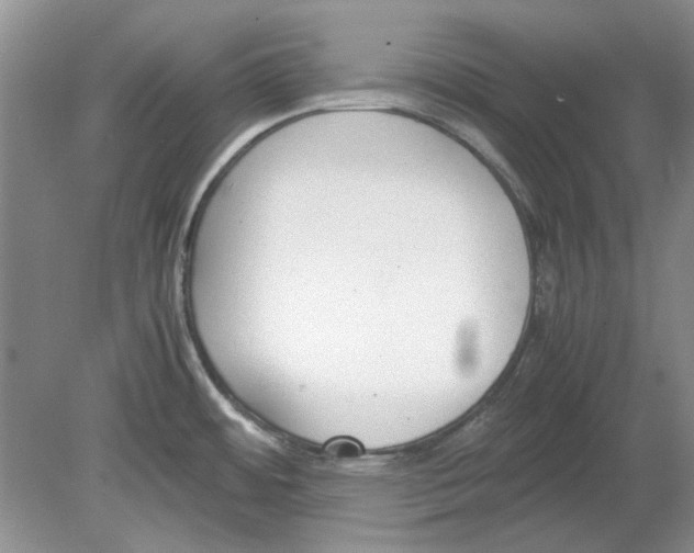 X0000078881484200612111726