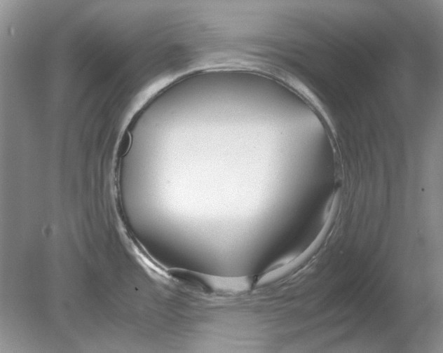 X0000078881485200612111726