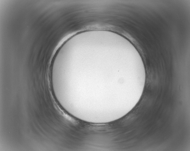 X0000078881486200612111726