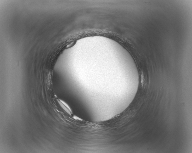 X0000078881492200612111726