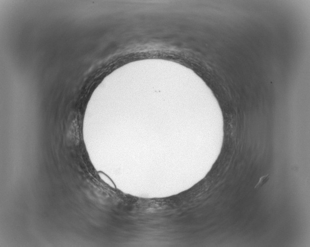 X0000078881493200612111726