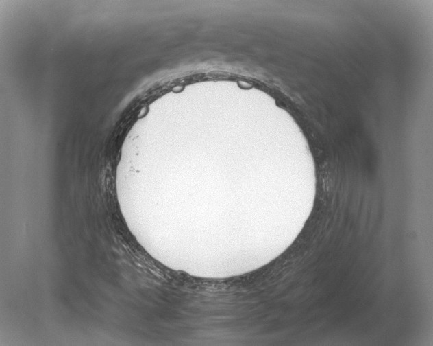 X0000078881495200612111726