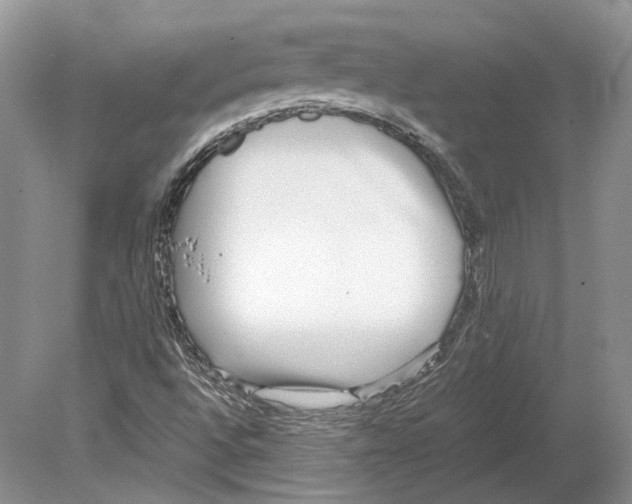 X0000078881496200612111726