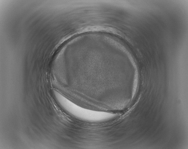 X0000078881497200612111726