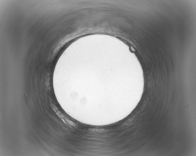 X0000078881499200612111726