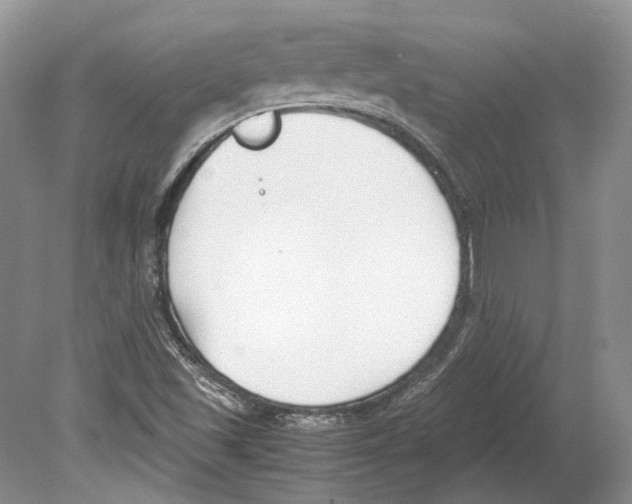 X0000078881501200612111726