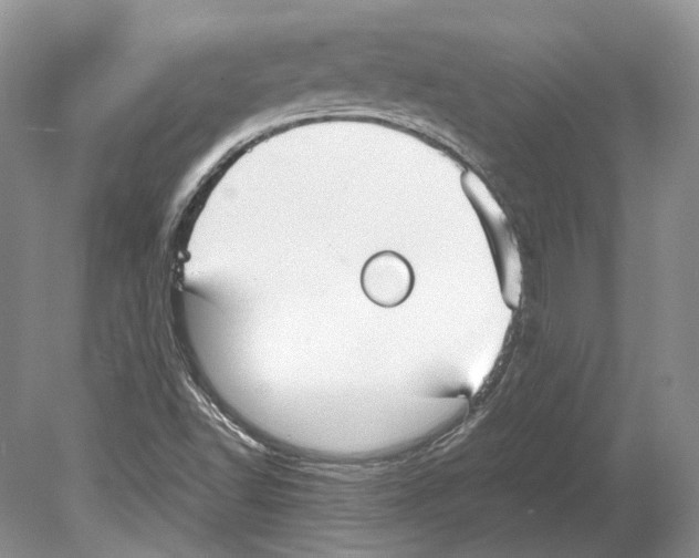 X0000078881502200612111726