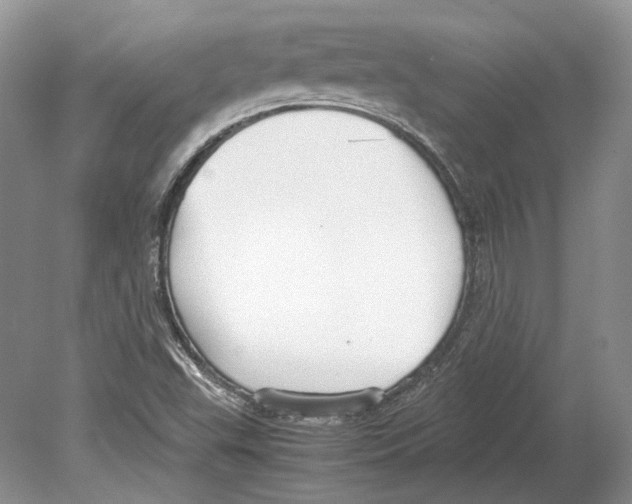 X0000078881503200612111726