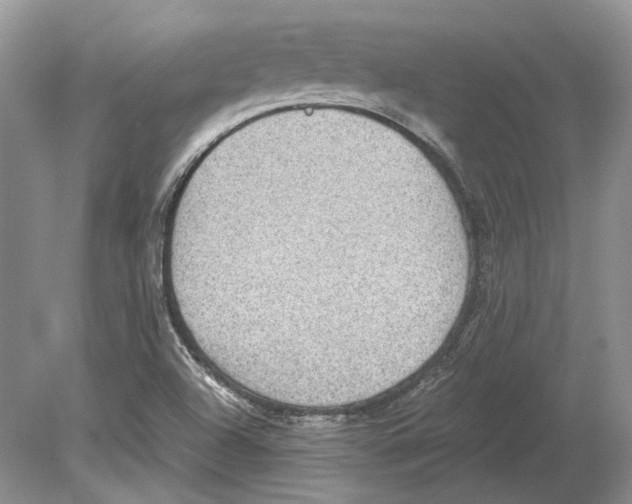 X0000078881504200612111726