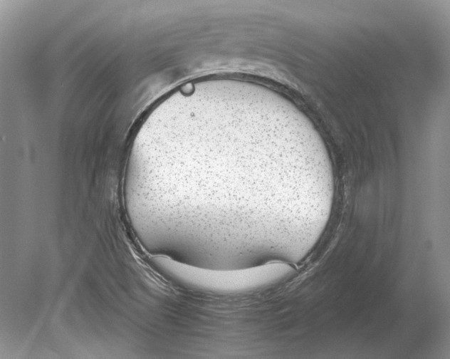 X0000078881505200612111726