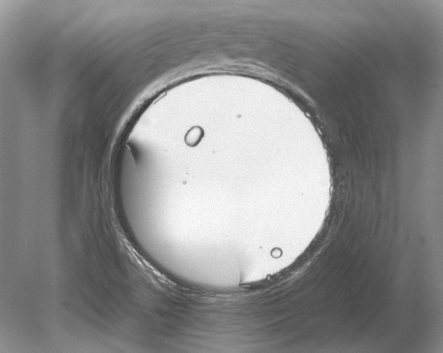 X0000078881506200612111726