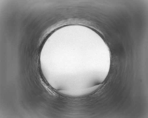 X0000078881507200612111726