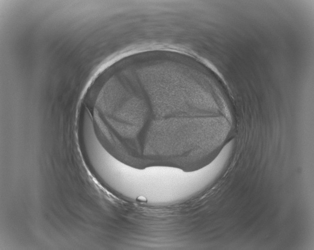 X0000078881508200612111726