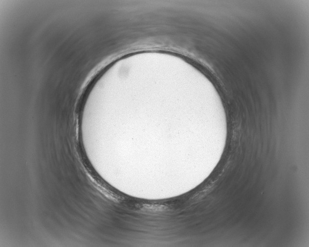 X0000078881509200612111726