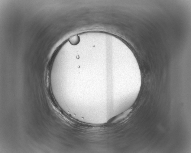 X0000078881510200612111726