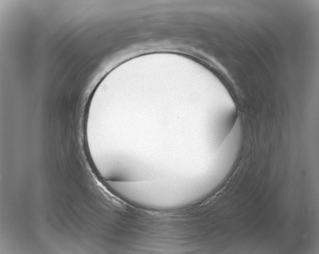 X0000078881512200612111726