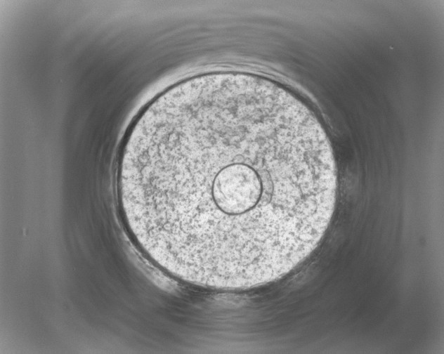 X0000078881514200612111726