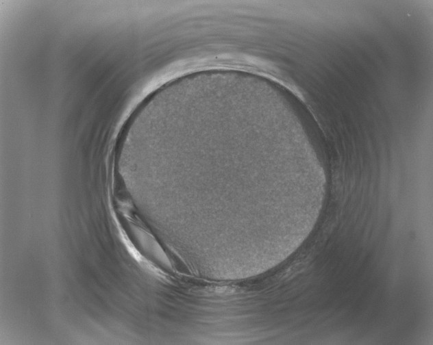 X0000078881515200612111726