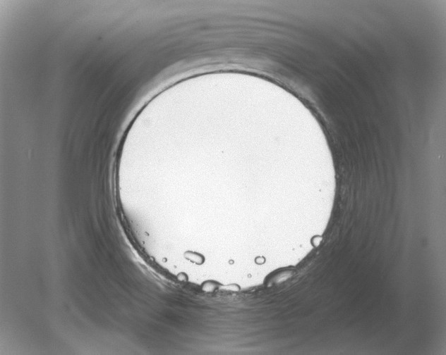 X0000078881516200612111726