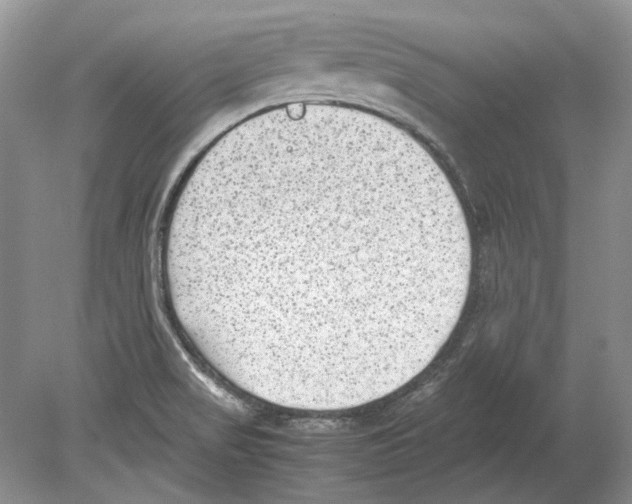 X0000078881517200612111726