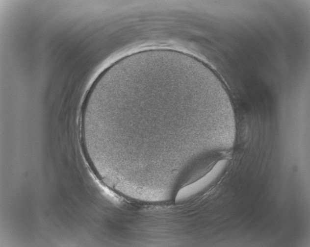 X0000078881519200612111726