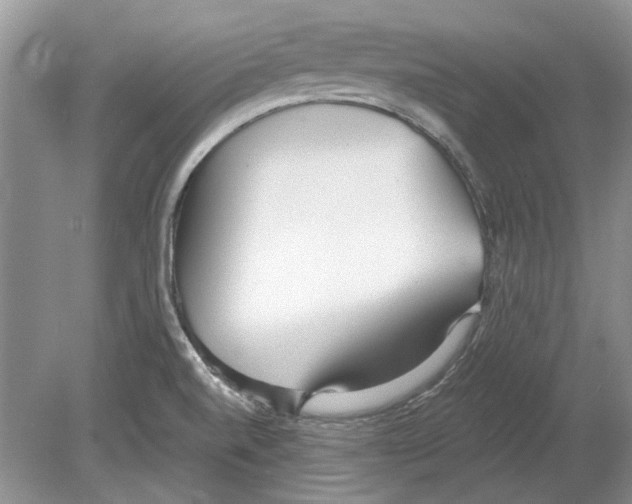 X0000078881520200612111726