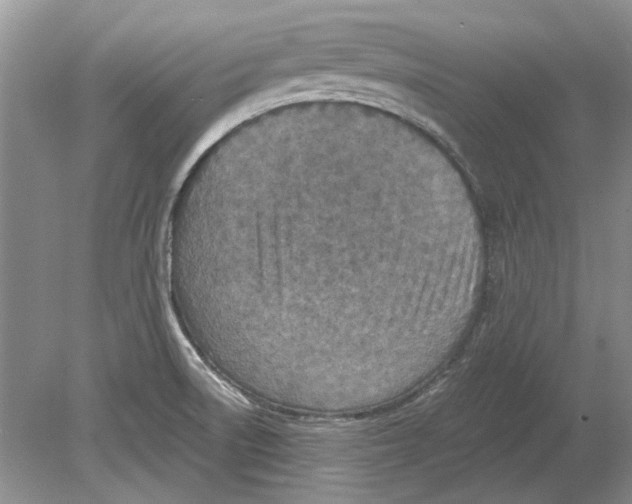 X0000078881522200612111726