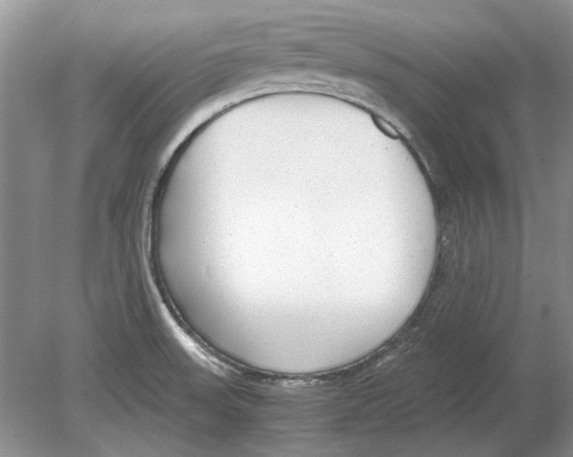 X0000078881523200612111726