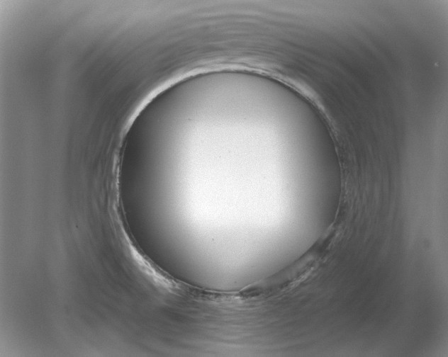 X0000078881524200612111726