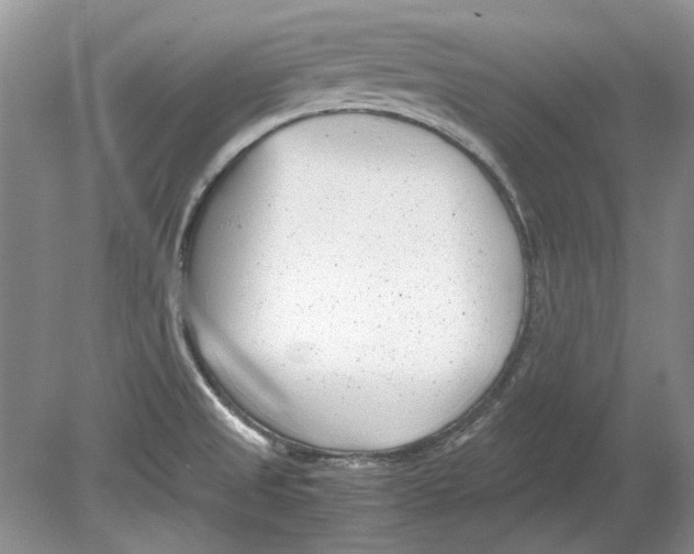 X0000078881525200612111726