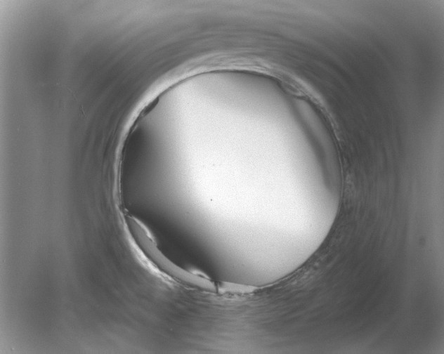 X0000078881528200612111726