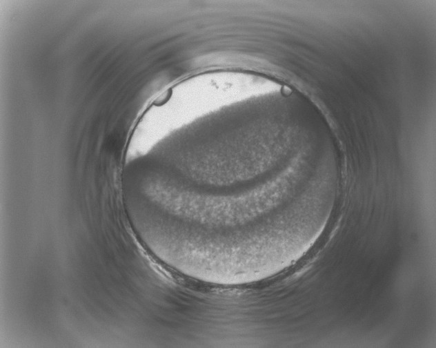 X0000078881529200612111726