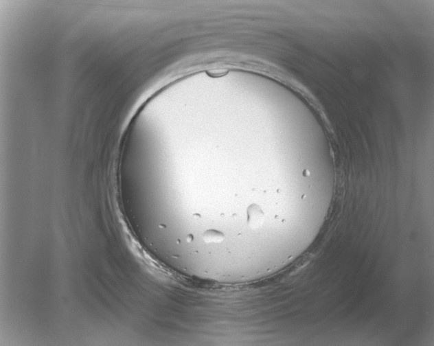 X0000078881530200612111726