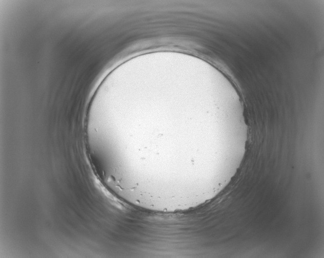 X0000078881532200612111726