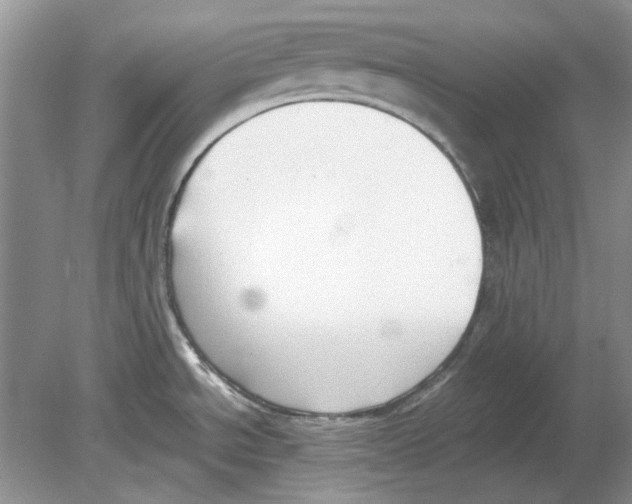 X0000078881534200612111726