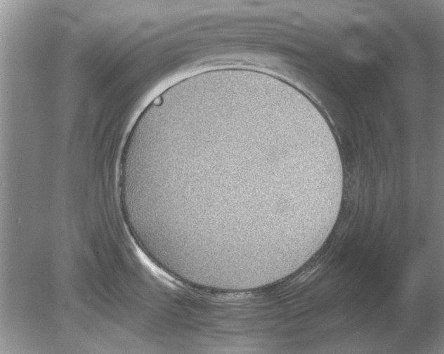 X0000078881535200612111726