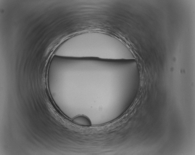 X0000078890002200611131042