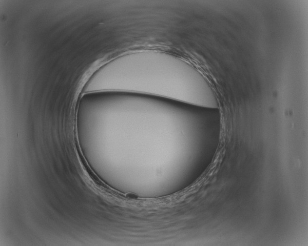 X0000078890003200611131042