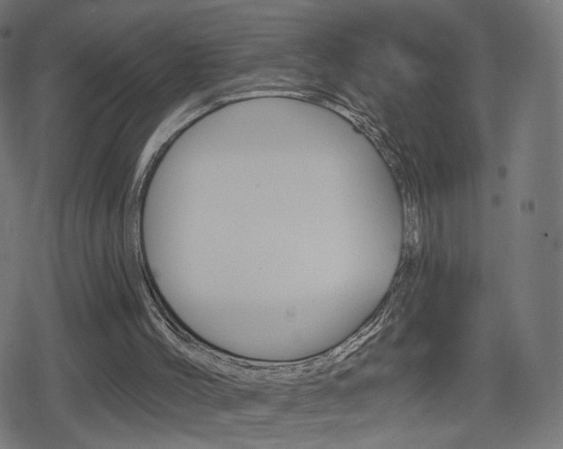 X0000078890004200611131041