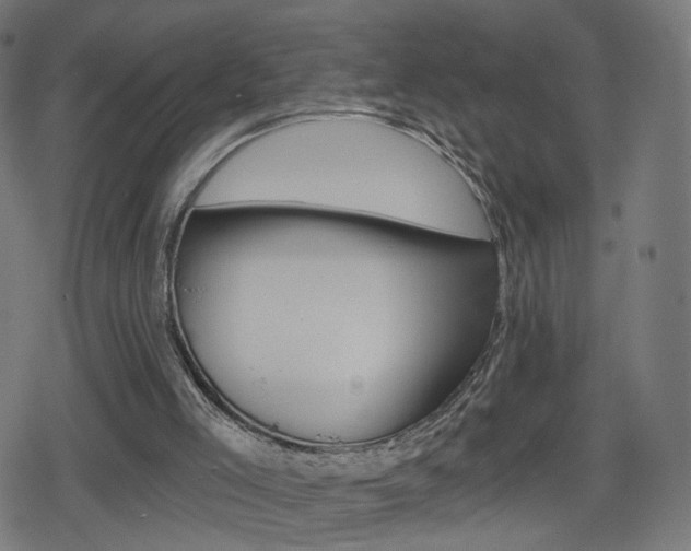 X0000078890005200611131041